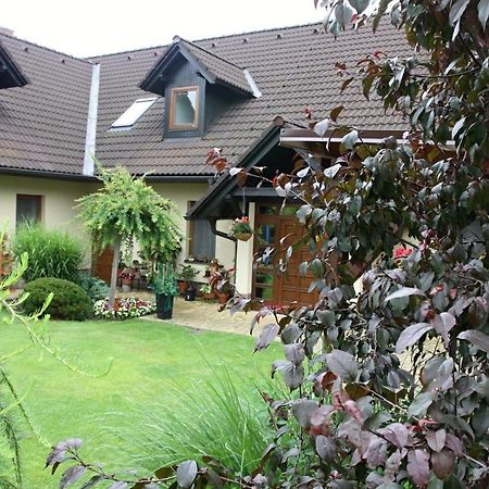 Ubytovani Zdarske Vrchy Světnov Εξωτερικό φωτογραφία
